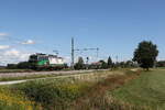 6193 206 von 'ELL' auf dem Weg zum n�chsten Einsatz am 1. September 2026 bei �bersee am Chiemsee.