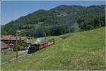 Festival Suisse de la vapeur / Schweizer Dampffestival 2026 - Kurz vor Cornaux ist die BFD HG 3/4 N� 3 der Blonay Chamby Bahn mit einem bunten Dampfzug unterwegs. 

25. Mai 2026