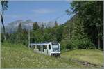 Kurz nach der kleinen Haltestelle Plan Morier ist der TPC ASD ABe 4/8 473 als R71 435 auf dem Weg von Les Diablerets nach Aigle.