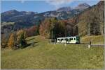 Zwischen Le S�pey und Les Planches ist ein zum Aufnahme Zeitpunkt neuer TPC ASD ABe 4/8 unterwegs. 

6. November 2024