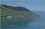 Krasser Gegensatz zum vorhergegangen Bild - hier muss man den Zug suchten: in der zauberhaften Landschaft des Lavaux sind zwei SBB Flirt RABe 523 auf dem Weg von Vevey in Richtung Lausanne.
