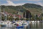 Als wir in Lutry auf unser Schiff nach Vevey warteten, sah ich, dass von dieser Stelle die Strecke Lausanne - Bern im Lavaux oberhalb von Lutry ein ganz passables Motiv abgeben w�re.