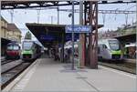 Neuch�tel mit den BLS RABe MIKA 528 106 und 119 von Bern nach La Chaux-de-Fonds und in der Gegenrichtung; links im Bild ein SBB RBDe 560  Domino , der auf die Abfahrt nach Buttes wartet.