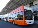 (290'970) - TPG Gen�ve - Nr. 4253 - eHess am 19. September 2026 in Kerzers, Interbus