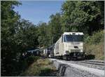 Das diesj�hrige Thema der Blonay Chamby Bahn   L'aventure ferroviaire de l'Oberland Bernois  /  Das Bahnabenteuer des Berner Oberlands  d�rfte auch mit dem Jubil�um 125 MOB zusammen h�ngen.