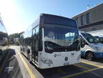 (290'910) - Limmat Bus, Dietikon - AG 484'830 - Mercedes am 19.