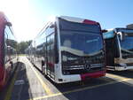 (290'918( - TPF Fribourg - (147'409) - eMercedes am 19.