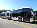 (290'919) - TPF Fribourg - (147'414) - eMercedes am 19.