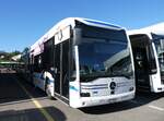 (290'931) - ZVB Zug - Nr. 7/ZG 88'007 - eMercedes am 19. September 2026 in Winterthur, Daimler Buses