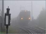 Blonay - Chamby - La Der 2026 - 60 apr�s les CEV (Saison Ende der Blonay Chamby Bahn, 60 Jahre nach dem Betriebsschluss der CEV).