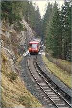 Der TMR BDeh 4/8 21 kommt von Vallorcine her durch den Wald gefahren und wird in k�rze die Grenze erreichen.