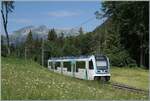 Kurz nach der kleinen Haltestelle Plan Morier ist der TPC ASD ABe 4/8 473 als R71 435 auf dem Weg von Les Diablerets nach Aigle.