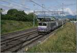 Die herrliche BB 22391 der zwischenzeitlich eher selten zu sehenden SNCF Lok Baureihe BB 22200 ist bei Vernier mit ihrem TER 96605 auf der Fahrt von Grenoble nach Gen�ve.