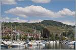 Als wir in Lutry auf unser Schiff nach Vevey warteten, sah ich, dass von dieser Stelle die Strecke Lausanne - Bern im Lavaux oberhalb von Lutry ein ganz passables Motiv abgeben w�re.