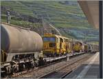 Leider habe ich zu sp�t gemerkt, welch interessante Fracht der von der SBB Cargo angemietete 193 067 gezogene G�terzug mit sich f�hrt, dann aber doch nochmals abgedr�ckt.