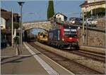 Die von SBB Cargo angemietete 193 067 f�hrt mit einem G�terzug durch den Bahnhof von Rivaz.