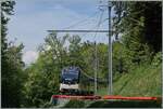 Da die GPX Z�ge jeweils mit der Lok in Richtung Zweisimmen verkehren, war ich oberhalb von Chamby auf der Suche nach einer Fotostelle und fand bei Kilometer 8.2 eine interessante Stelle mit der sogenannte 'Windschiefen Fahrleitung', die sich aber nur ...