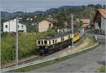 L'aventure ferroviaire de l'Oberland Bernois / Das Bahnabenteuer des Berner Oberlands - der MOB FZe 6/6 2002 ist mit seinem Riviera Belle Epoque Zug 200207E bei Planchamp auf dem Weg nach Montreux.