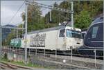 Kein  sch�nes  Bild aber die einzige M�glichkeit die Ge 4/4 8004 (im Hintergrund) und die Ge 4/4 8002 auf dem gleichen Bild zu sehen.