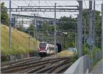 Auf den ersten Blick, eine banale Aufnahme: ein Nachschuss auf einen SBB LEX RABe 522; das Besondere: der SBB RABe 522 229 ist als RL7 23535 auf dem Weg von Annemasse nach Vernier und verl�sst in Jonction die CEVA Strecke, um �ber die Verbindungslini ...