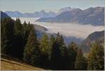  W�hrend der Nebel im Tal f�r graue Stimmung sorgt, herrscht �ber der Nebelgrenze traumhaftes Herbstwetter.