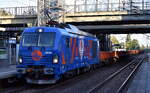 HRS - Hamburger Rail Service GmbH & Co.